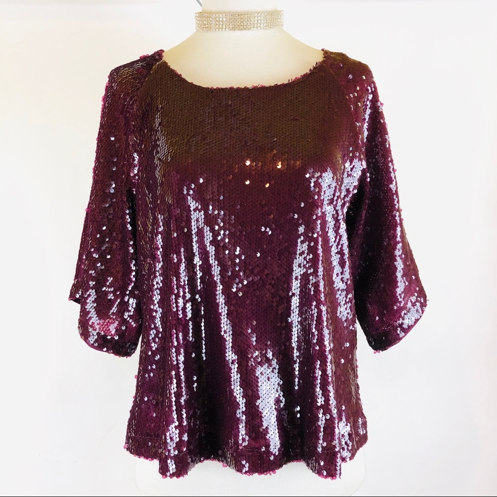 Skies are Shimmer Sequined Top Metallic Sparkle